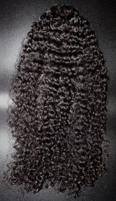 Virgin Burmese Curly