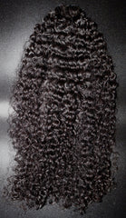 Virgin Burmese Curly