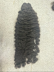 Virgin Burmese Curly